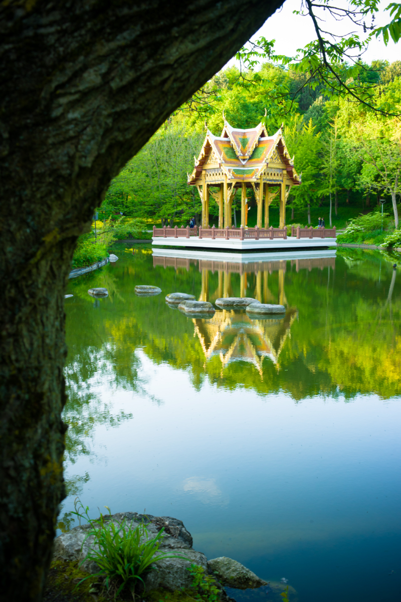 landscape 1